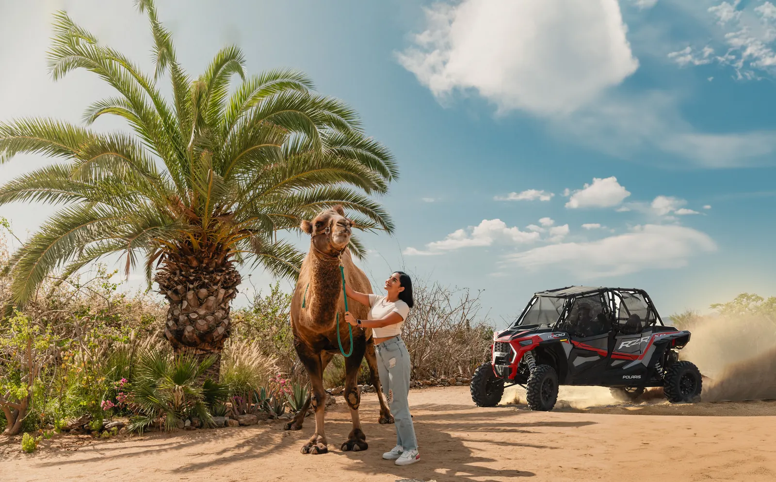 Desert adventure in Baja California Sur