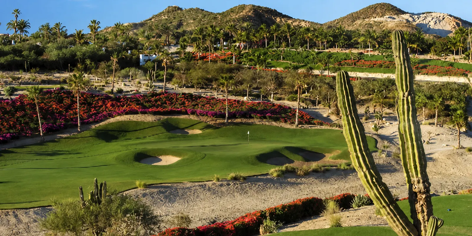 Golf course in Los Cabos