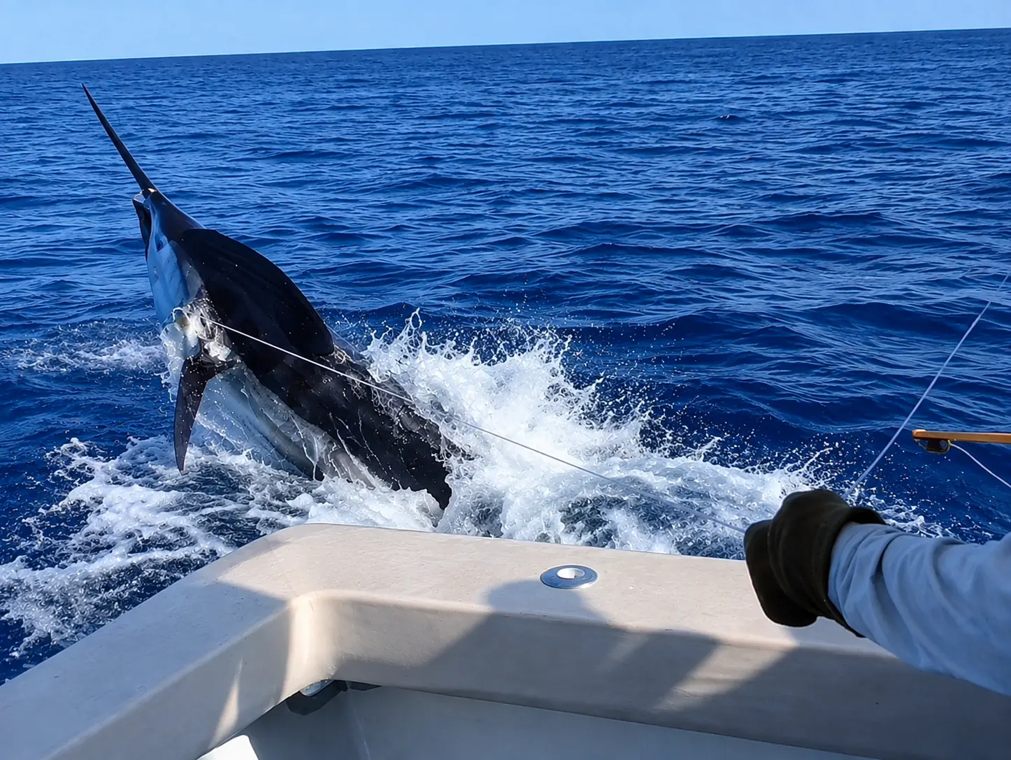 Sport fishing in Los Cabos